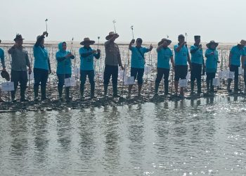Peringati Hari Lingkungan Hidup Sedunia Pemprov Sumut Tanam Mangruf di Pantai Romantis Nagalawan