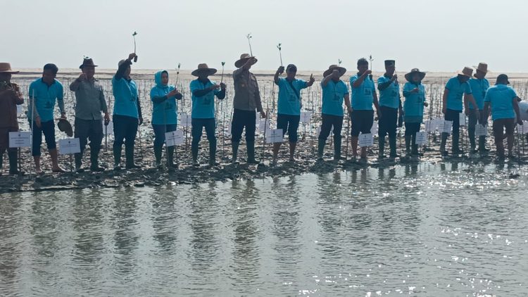 Peringati Hari Lingkungan Hidup Sedunia Pemprov Sumut Tanam Mangruf di Pantai Romantis Nagalawan