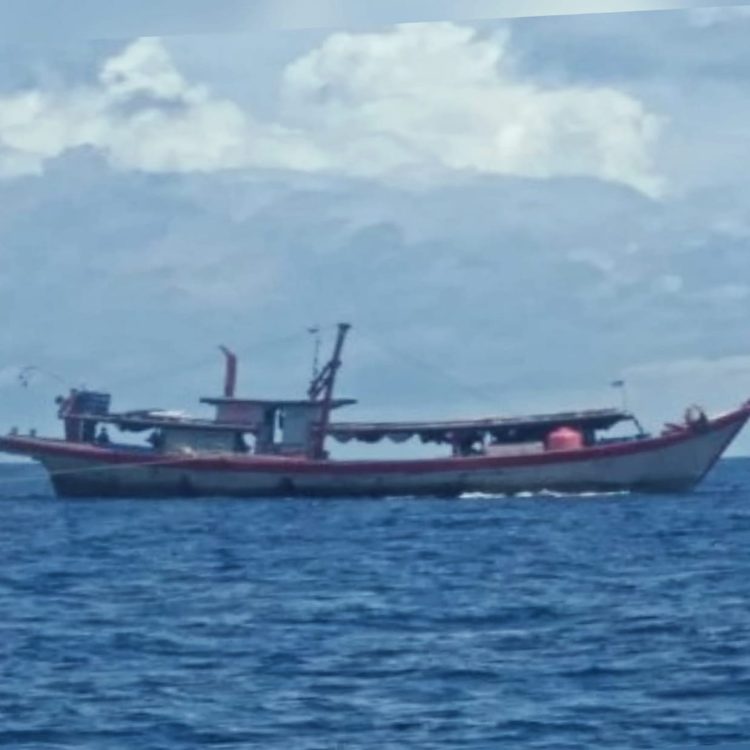 Ratusan Pukat Trawl Acam Kehancuran Ekosistem dan Biota Laut Sibolga Tapteng