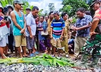 Tragedi di Perlintasan Kereta: Kegagalan Fatal dalam Pengelolaan Keselamatan Publik