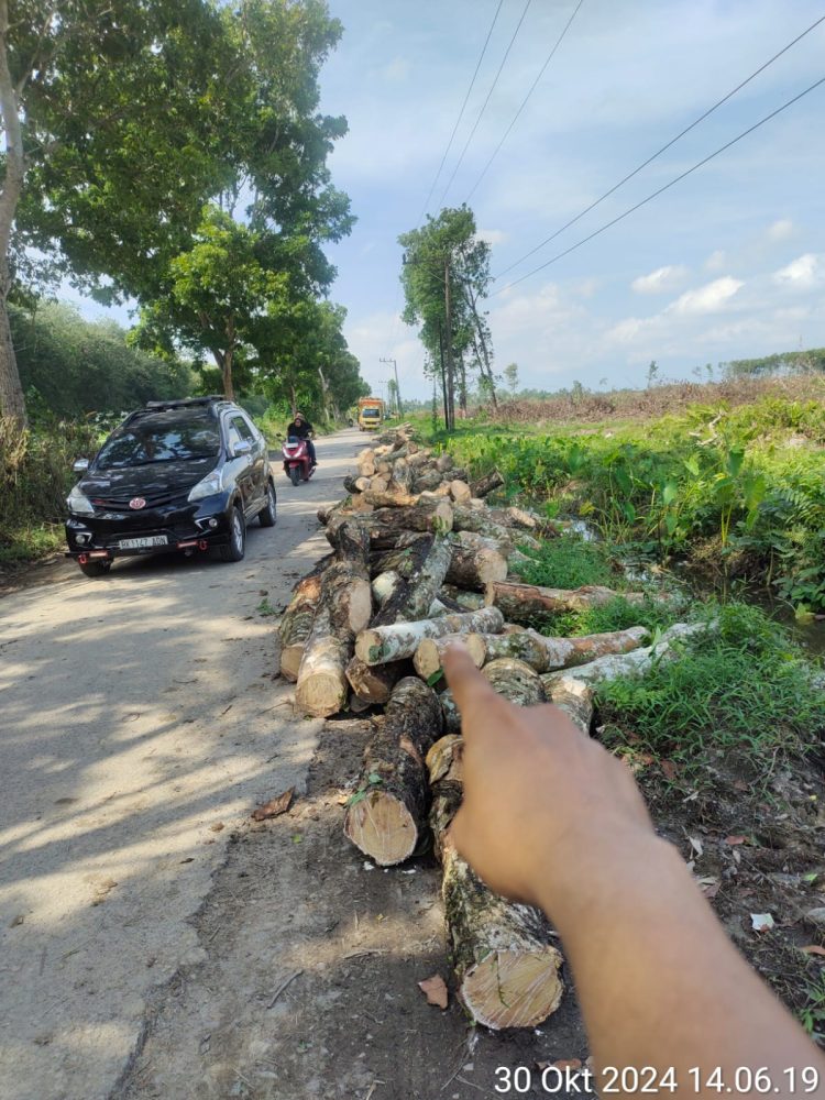 Pengangkutan Kayu Rambung di Rawang Pasar 5 Akibatkan Jalan Rusak