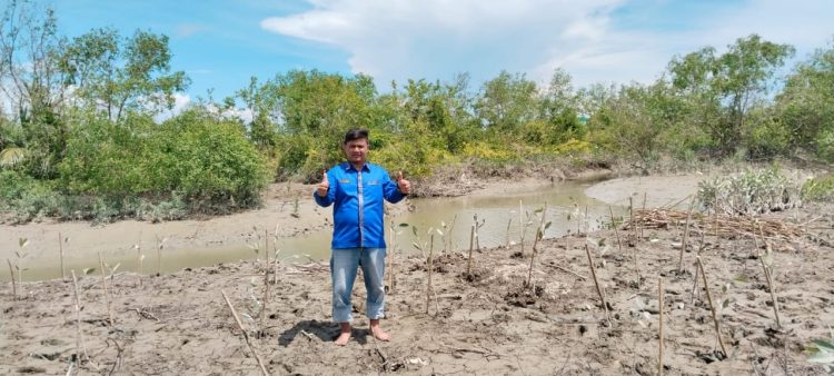 Ketua DPC HNSI Batubara Dan PT Inalum Tanam 1000 Bibit Mangrove