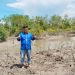 Ketua DPC HNSI Batubara Dan PT Inalum Tanam 1000 Bibit Mangrove