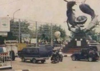 Ini Dia Ikan yang Tahan Kondisi Cuaca dan Air yang Bermasalah!