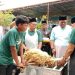 Kejeruan Metar Bilad Deli Gelar Qurban 5000 Ekor: Tradisi yang Terus Berkembang