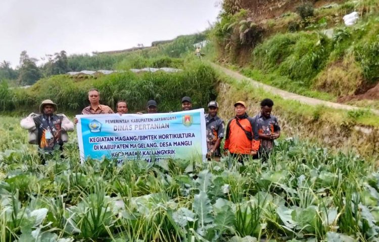 Perkuat Petani Milenial, Kabupaten Jayawijaya Dorong Bimtek dan Magang di Kabupaten Magelang