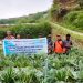 Perkuat Petani Milenial, Kabupaten Jayawijaya Dorong Bimtek dan Magang di Kabupaten Magelang