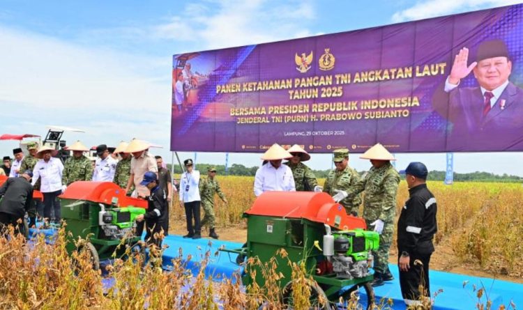 Komitmen Perkuat Ketahanan Pangan Nasional, TNI AL Panen Kedelai Varietas Unggulan di Lampung