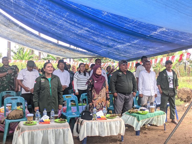 Panen Raya Jagung di SPI Sordang Nauli: Momentum Perkuat Kedaulatan Pangan