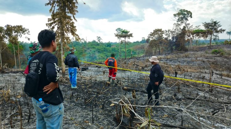 Usut Kebakaran Lahan 75 Hektare, Polda Jambi Bidik Dua Perusahaan di Batang Hari dan Sarolangun